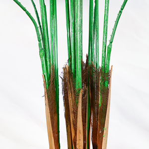 Planta Artificial de Areca, Ecológica, Hecha a Mano, de Plástico, 5m (Opcional), Decoración Tropical para Interiores y Exteriores - Product Image 6