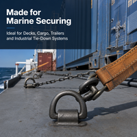 Anneau de levage de type D, capacité de charge pour le levage et la traction, transport logistique, anneau en D pour conteneur maritime en acier