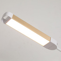 Lampe à cils à led Lumière de lune Lampe de remplissage d'intérieur pour cils Beauté Tattoo Artists Maquillage arc beauté lumière