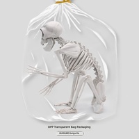 Décoration d'horreur transfrontalière pour Halloween : Squelette d'animal réaliste en plastique, singe sans queue, pour bar et maison hantée