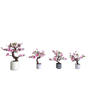 Árbol Bonsái <span class=keywords><strong>de</strong></span> <span class=keywords><strong>Magnolia</strong></span> Artificial Realista, Flor <span class=keywords><strong>de</strong></span> <span class=keywords><strong>Magnolia</strong></span> Artificial en Maceta, Bonsái Floral Artificial para Decoración Oriental del Hogar - Product Image 5