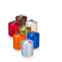 Fil de polyester Vente chaude Fil de filament DTY 100% Fil de polyester 300D/96F NIM