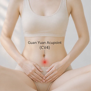 Parches Profesionales para Calentar el Útero, Parches de Hierbas Chinas para Aliviar el Dolor Menstrual, Cuidado de la Salud Menstrual Femenina, Precio de Fábrica - Product Image 6