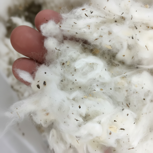 Matériau de filature blanc de haute qualité 100% coton peigné, déchets de noil, Ms Florence, modèle Thanhvin 2024 - Product Image 1