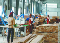 Cabane en bois préfabriquée de qualité personnalisée avec installation en ligne