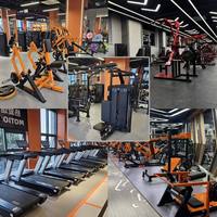 Máquina de remo acodada de acero para gimnasio comercial Land Fitness al por mayor