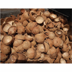 <b>COCONUT</b> SELL/ <b>COCONUT</b> BASIC/ OLD <b>COCONUT</b> <b>SHELL</b> LOW - Product Image 1