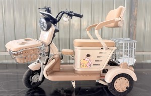 Venta de Fábrica: Nuevo Triciclo Eléctrico Compacto de 3 Ruedas, 48V 20Ah, para Mujeres, Niños y 2 Pasajeros, Modelo 2026 - Product Image 5