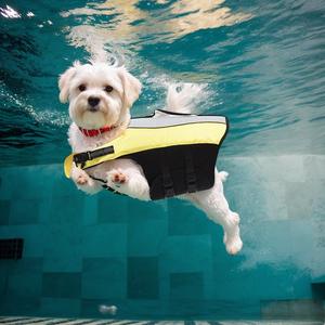 Gilet <span class=keywords><strong>de</strong></span> <span class=keywords><strong>sauvetage</strong></span> <span class=keywords><strong>pour</strong></span> animaux <span class=keywords><strong>de</strong></span> compagnie <span class=keywords><strong>pour</strong></span> chiens <span class=keywords><strong>de</strong></span> taille moyenne maillot <span class=keywords><strong>de</strong></span> bain avec poignée <span class=keywords><strong>de</strong></span> <span class=keywords><strong>sauvetage</strong></span> haute flottabilité réglable gilet <span class=keywords><strong>de</strong></span> <span class=keywords><strong>sauvetage</strong></span> <span class=keywords><strong>pour</strong></span> <span class=keywords><strong>chien</strong></span> gilet <span class=keywords><strong>de</strong></span> <span class=keywords><strong>sauvetage</strong></span> <span class=keywords><strong>pour</strong></span> <span class=keywords><strong>chien</strong></span> - Product Image 2