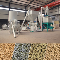 Nouvelle Ligne de Production de Granulés d'Aliments pour Animaux à Haute Efficacité et Faible Coût, Prix Usine, Vente Chaude, 0,5-1 Tonne/Heure pour Ferme Avicole