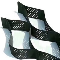 Système de renforcement de sol en géocell HDPE, grille alvéolée pour gravier, stabilisateur de voie d'accès, stabilisateur de sol pour parking