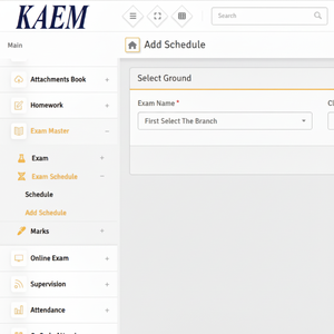 Sistema completo de exámenes en línea con videovigilancia, monitoreo en vivo y herramienta de puntuación automatizada - Product Image 1