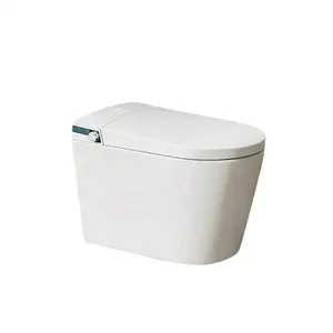 Sanitär keramik Smart WC Toiletten sitz Bidet bezug kleine Einheit intelligente Dusche spart Wasser Smart Toiletten sitz