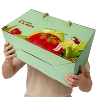 Emballage de fruits, boîte en carton ondulé colorée, boîte d'emballage avec corde de levage, boîte en carton écologique, emballage personnalisé express