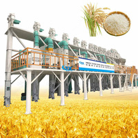 Vente chaude : Moulin à riz automatique complet moderne de haute qualité 50 TPD, machine de décorticage de riz, à vendre