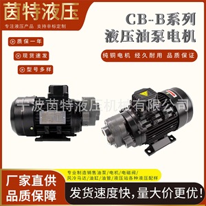 Pompe à engrenages hydraulique Int Hydraulic Cb-B 370W 220V 380V à entraînement direct pour système hydraulique - Product Image 5