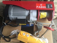 300 Kg 500 Kg 1000 Kg Palan de levage électrique Petit palan à câble métallique Mini palan électrique