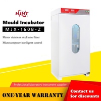 Stable Microbial Cultivation Environment Uniform Temperature, High Efficiency Laboratory Mold Incubator