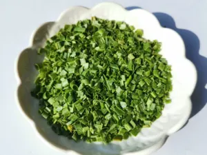 Cebolla verde deshidratadora de grado alimenticio, primavera seca y saludable, venta al por mayor