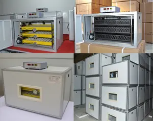 AC/DC 120 Le Uova a 500 Le Uova di Famiglia Chick <span class=keywords><strong>Quai</strong></span> Incubatore Automatico Piccolo Uovo Incubatori Hatcher - Product Image 3