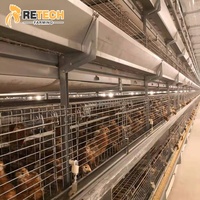 Cage de poulettes en batterie de type H pour poussins d'un jour, poulets de chair et poulets de chair en couche, avec couveuse automatique