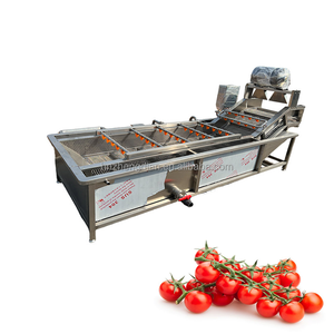 Ligne de lavage et de séchage de la <span class=keywords><strong>laitue</strong></span> romaine et de légumes, ligne de lavage, séchage et emballage de légumes - Product Image 2