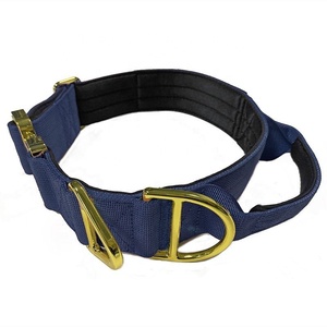 Collares de perro mascota acolchados de nailon con hebilla de metal dorado de excelente calidad - Product Image 5