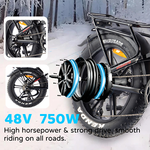Vélo électrique à pneus larges 48V 750W 20 pouces 4.0 avec frein à disque hydraulique, tout-terrain, Ebike OEM, pour neige, plage, sable, adultes, EN15194 CE - Product Image 4
