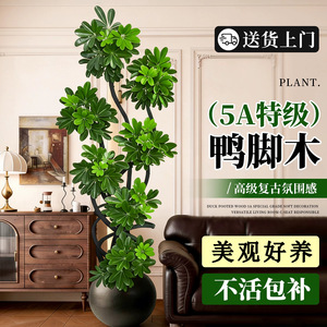 Schefflera Arboricola Artificial Tree <b>Large</b> Potted Plant High Simulation Indoor Decor Living Room Office <b>Desk</b> Balcony Courtyard - Product Image 4
