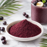 Poudre de fruit d'açaï de haute qualité, ingrédient naturel pour boisson, marque privée, faible MOQ, emballage personnalisé, vente en gros, fournisseur d'usine