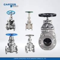 Vanne à opercule standard ANSI Carter en fonte GGG40/GGG50, en acier au carbone WCB/WCC, à brides RF/FF, à engrenage conique, électrique, API/JIS/DIN ISO/CE
