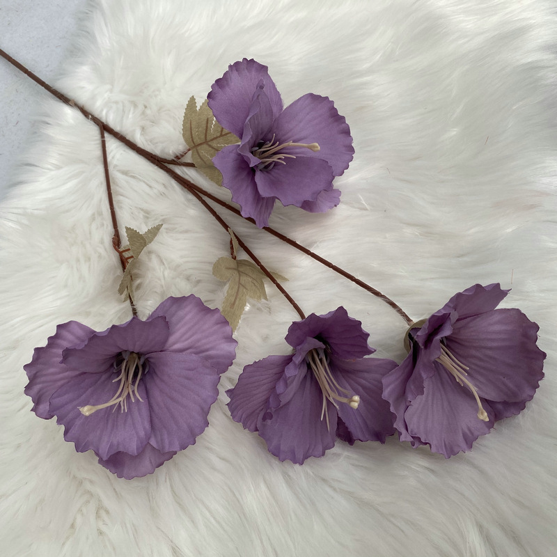 4 têtes, non.2, violet clair