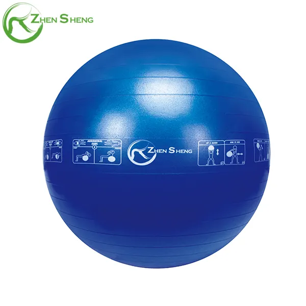 Zhensheng Articles de sport de haute qualité Anti-éclatement Balance Fitness Gym Ball pour le yoga