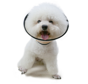 Collar Protector Anti-Lamido para Perros, Collar Ajustable para el Cuello, Collar Isabelino para Gatos y Perros - Product Image 2