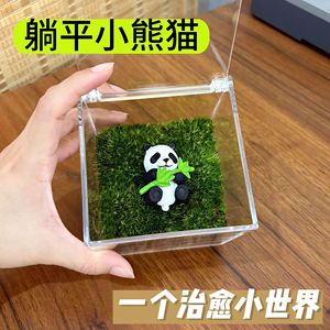 Miniatura de Paisaje de Musgo Panda, Regalo Creativo, Decoración de Escritorio, Jardín Privado en Botella Ecológica, Planta Verde de Oficina, Planta Pequeña en Maceta, Producto Terminado - Product Image 2