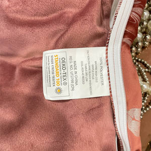 Ensemble de housse de <span class=keywords><strong>couette</strong></span> en velours corail de velours grec de haute qualité commerce extérieur transfrontalier imprimé à la maison hiver chaud couvre-lit taie d'oreiller t - Product Image 3