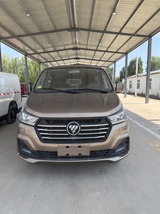 Foton View G5 six places, toit plat marron, 1TZS - Product Image 1