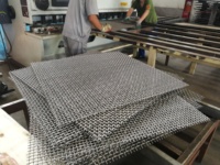 Panneau en treillis métallique polyvalent en acier inoxydable 304/316 pour clôture de sécurité, décoration de plafond, protection de machine, filtration