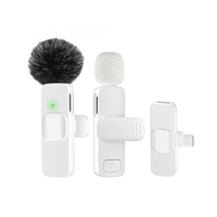 Microfono Lavalier Wireless 2.4GHz Mini per Telefono, Plug-and-Play, per Insegnamento, Registrazione, Streaming Live e Podcast