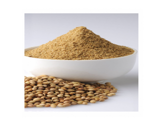 Premium Quality Pure Coriander Powder Dhania Powder Export Grade Culinary <b>Spice</b> from India Freshly Ground Strong Natural Aroma - Product Image 3