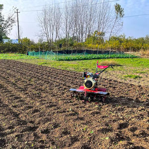 बहु-कार्यात्मक डीजल खेती की गई भूमि 9hp ढीला मशीन छोटे रोटरी टिलर मिट्टी टिलर पावर टिलर माइक्रो-टिलर - Product Image 4