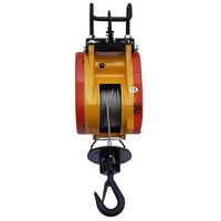 Nouveau mini-treuil électrique, capacité 160 kg, 110V-240V, câble métallique, télécommande, protection IP65, longueur 30 m, 1,3 kW, hôtels