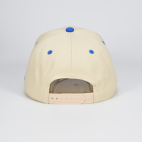 Gorras de Béisbol Personalizadas Impermeables de 5 Paneles, Estructuradas, de Algodón, con Logotipo Bordado en 3D, de Dos Tonos, Estilo Deportivo Urbano