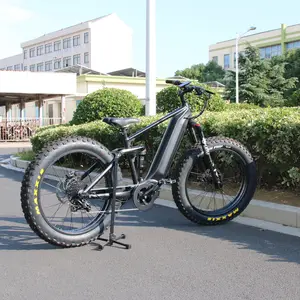 Bicicleta eléctrica con pantalla colorida, nuevo estilo de fábrica, 1000w, 48v