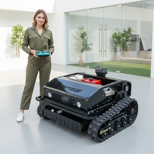 Débroussailleuses et tondeuses à gazon à essence 4 temps haute puissance, polyvalentes pour la réhabilitation, de qualité industrielle - Product Image 1