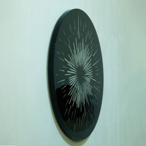 NEWKNG dekorasi patung seni dinding spesimen tulang hewan alami kustom, hitam, akrilik (tidak Resin murah), kualitas terbaik - Product Image 5