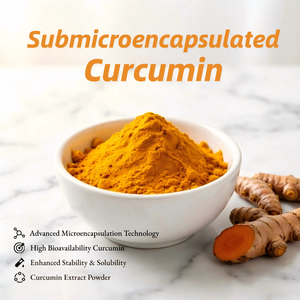 Nouvelle Poudre <span class=keywords><strong>de</strong></span> Curcumine Submicronisée Directement <span class=keywords><strong>de</strong></span> l'Usine, Curcumine Submicronisée Hydrosoluble, Matière Première Anti-inflammatoire et Antioxydante - Product Image 1