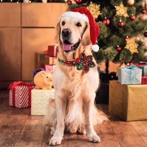 Collar Clásico para Perro con Estampado de Cuadros de Búfalo Navideños, con Hebilla de Metal, Ajustable, con Corbatín, para Perros Pequeños, Medianos y Grandes - Product Image 6