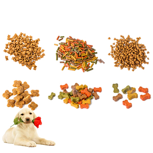 Machine de fabrication d'aliments pour animaux de compagnie avec moteur, pompe PLC, engrenage et moteur pour ligne de traitement d'aliments pour poissons flottants/coulants 380V - Product Image 4