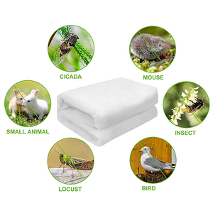 Filet de protection contre les insectes de couleur blanche, filet anti-insectes pour <span class=keywords><strong>tomates</strong></span>, maille fine - Product Image 2